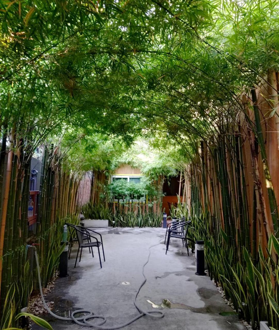 The M Pool Villas Bangkok - Bts Ekkamai Bagian luar foto